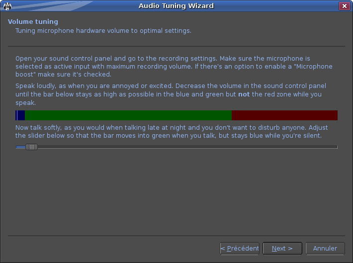 Mumble de la Grande Armée Capture-Audio%20Tuning%20Wizard-1